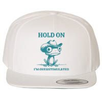 Hold On Im Overstimulated Frog Adhd And Anxiety Funny Frog Wool Snapback Cap