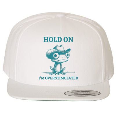 Hold On Im Overstimulated Frog Adhd And Anxiety Funny Frog Wool Snapback Cap