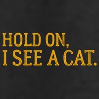 Hold On I See A Cat, Funny Cat Lovers Sarcastic Sayings Hat