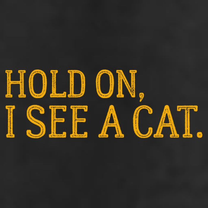 Hold On I See A Cat, Funny Cat Lovers Sarcastic Sayings Hat