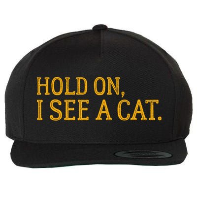 Hold On I See A Cat, Funny Cat Lovers Sarcastic Sayings Wool Snapback Cap