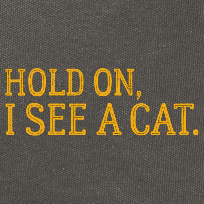 Hold On I See A Cat, Funny Cat Lovers Sarcastic Sayings Cotton Canvas Backpack