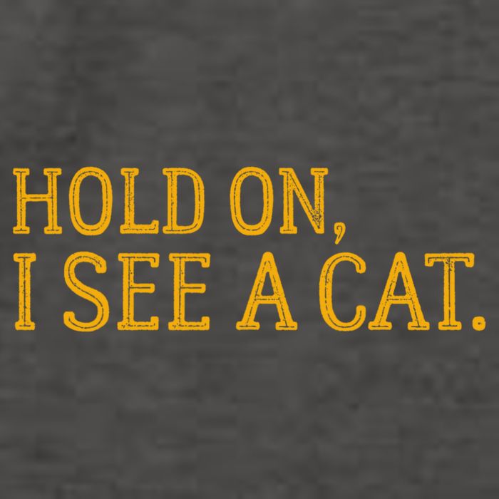 Hold On I See A Cat, Funny Cat Lovers Sarcastic Sayings Vector Backpack