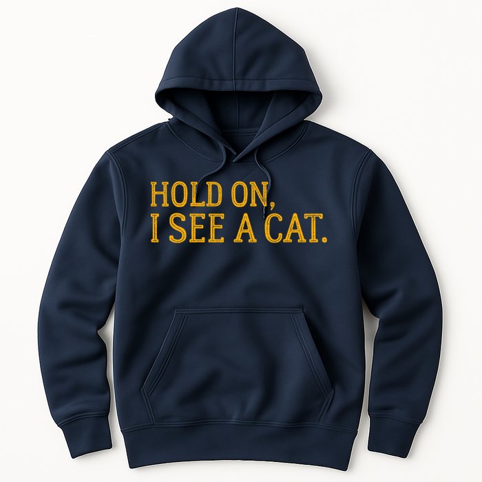 Hold On I See A Cat, Funny Cat Lovers Sarcastic Sayings Hoodie