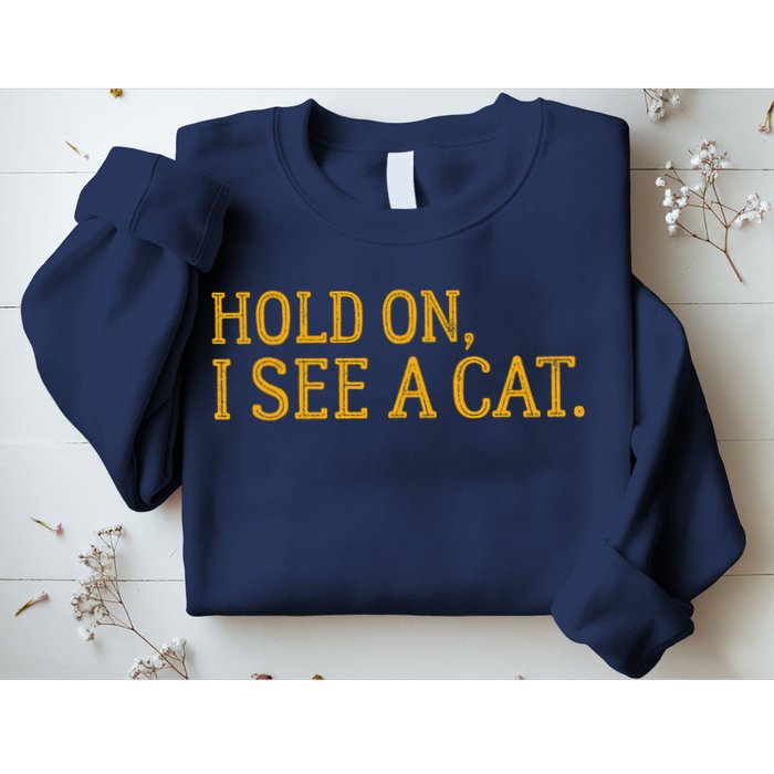 Hold On I See A Cat, Funny Cat Lovers Sarcastic Sayings Sweatshirt