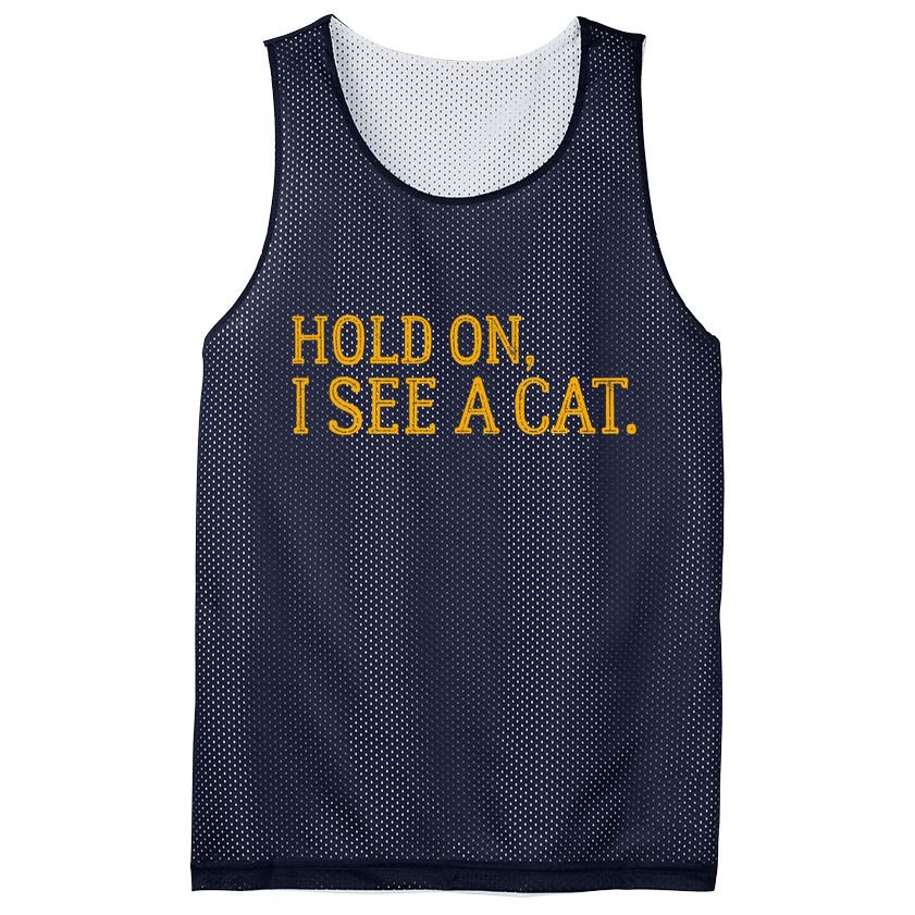 Hold On I See A Cat, Funny Cat Lovers Sarcastic Sayings Mesh Reversible Basketball Jersey Tank