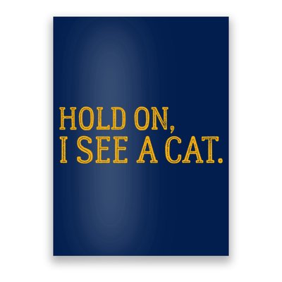 Hold On I See A Cat, Funny Cat Lovers Sarcastic Sayings Poster