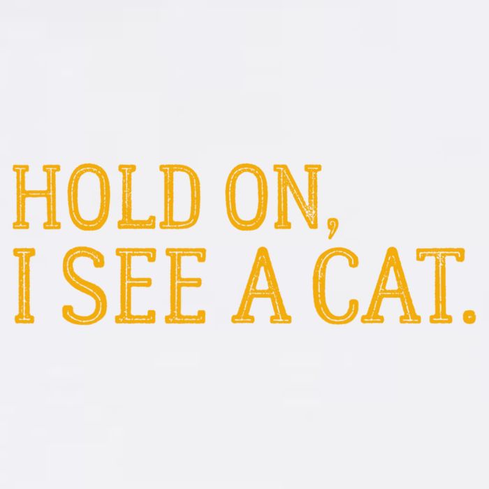 Hold On I See A Cat, Funny Cat Lovers Sarcastic Sayings Garment-Dyed Sweatshirt