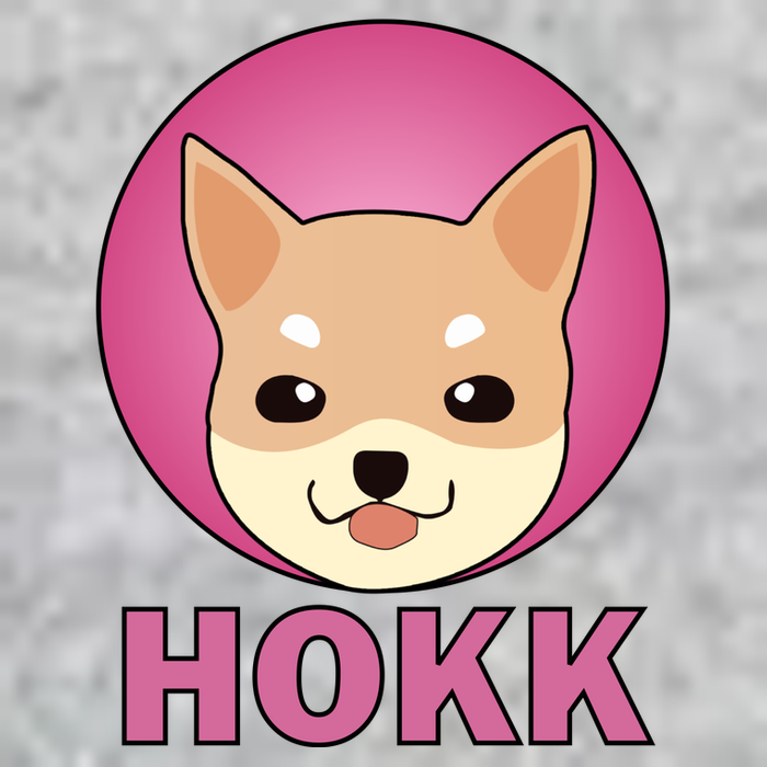 HOKK Hokkaidu Inu Crypto Currency V-Neck T-Shirt