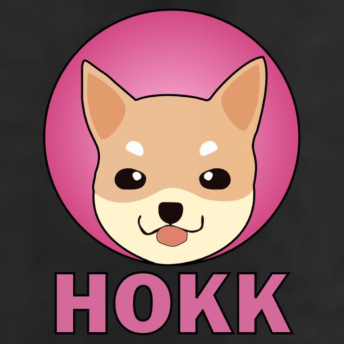 HOKK Hokkaidu Inu Crypto Currency 11oz C Handle Ceramic Mug