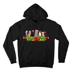 Holiday Christmas Cats Hoodie