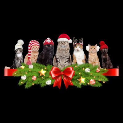 Holiday Christmas Cats T-Shirt