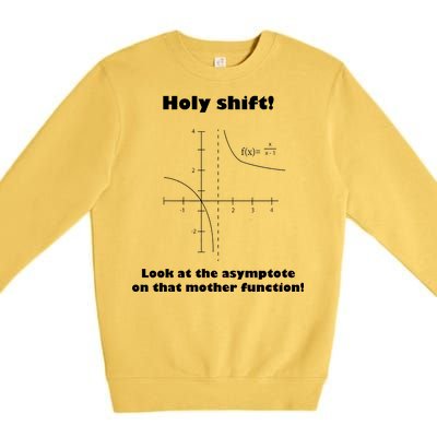 Holy Shift Look At The Asympotote On That Mother Function Premium Crewneck Sweatshirt