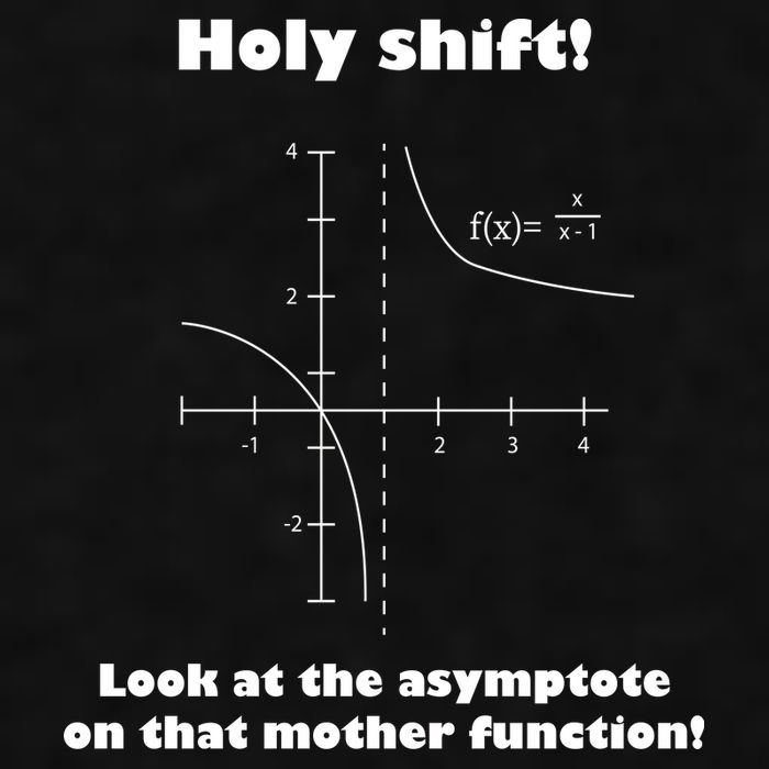 Holy Shift Look At The Asympotote On That Mother Function Ladies PosiCharge Tri-Blend Wicking Tank