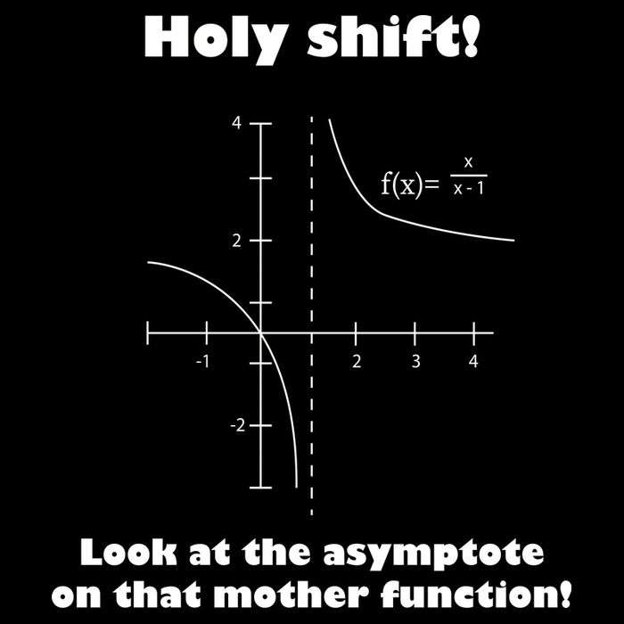 Holy Shift Look At The Asympotote On That Mother Function Cooling Performance Crew T-Shirt