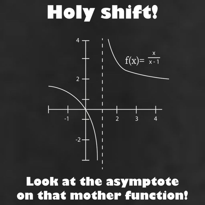 Holy Shift Look At The Asympotote On That Mother Function Adult Drive Performance Visor