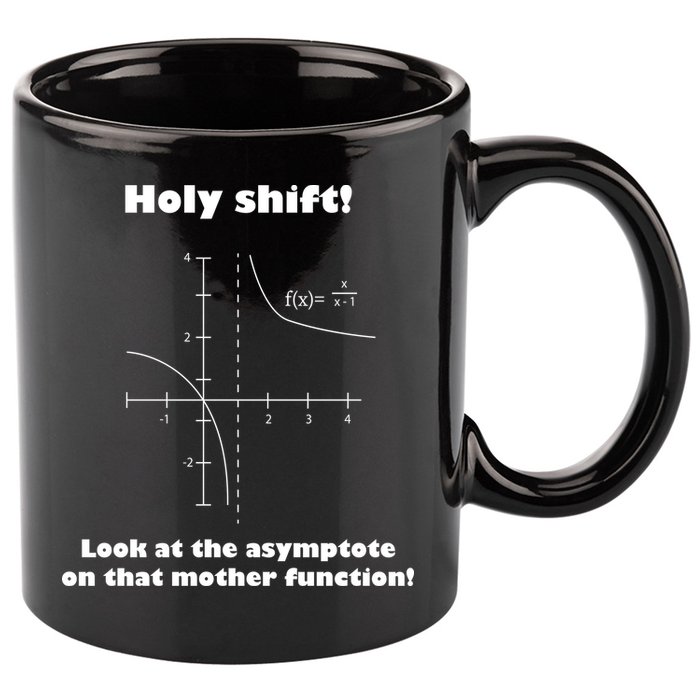 Holy Shift Look At The Asympotote On That Mother Function 11oz C Handle Ceramic Mug