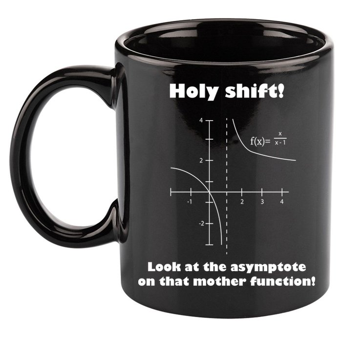 Holy Shift Look At The Asympotote On That Mother Function 11oz C Handle Ceramic Mug