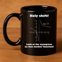 Holy Shift Look At The Asympotote On That Mother Function 11oz C Handle Ceramic Mug