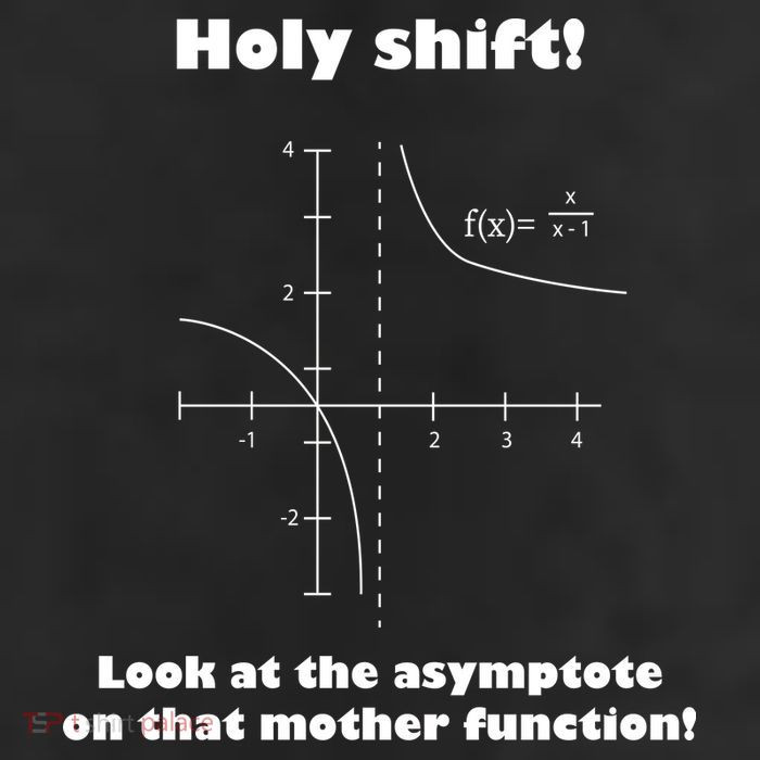 Holy Shift Look At The Asympotote On That Mother Function Golf Towel