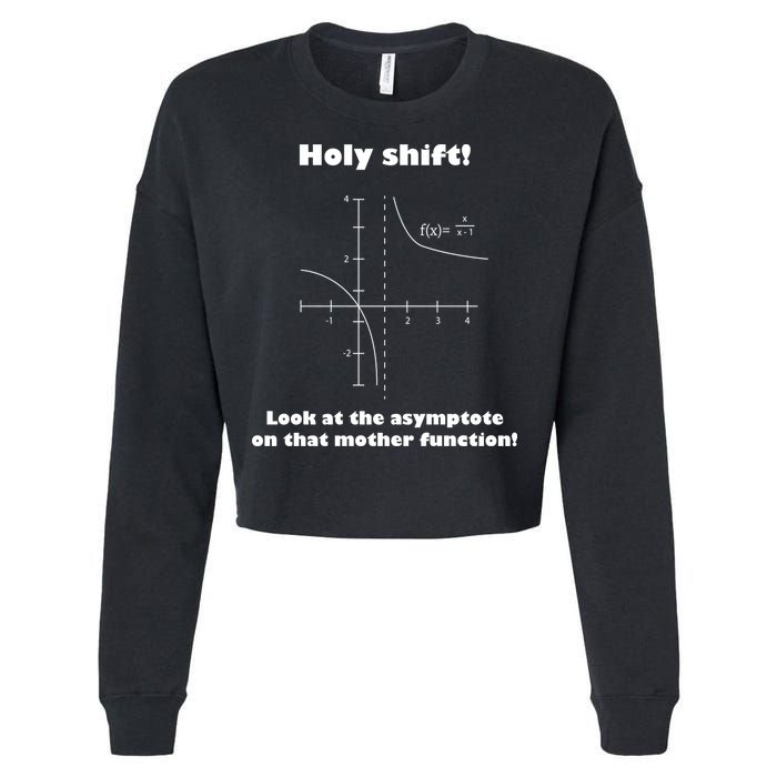 Holy Shift Look At The Asympotote On That Mother Function Cropped Pullover Crew