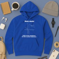 Holy Shift Look At The Asympotote On That Mother Function Hoodie