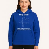 Holy Shift Look At The Asympotote On That Mother Function Hoodie