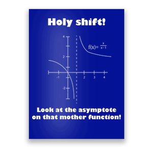 Holy Shift Look At The Asympotote On That Mother Function Poster