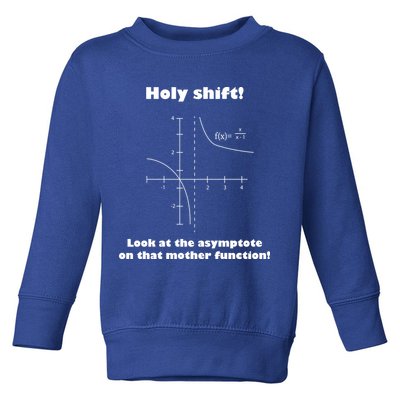 Holy Shift Look At The Asympotote On That Mother Function Toddler Sweatshirt