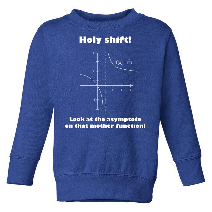 Holy Shift Look At The Asympotote On That Mother Function Toddler Sweatshirt