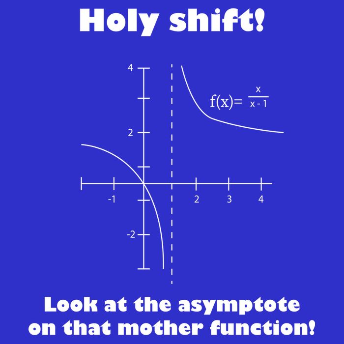 Holy Shift Look At The Asympotote On That Mother Function Tank Top