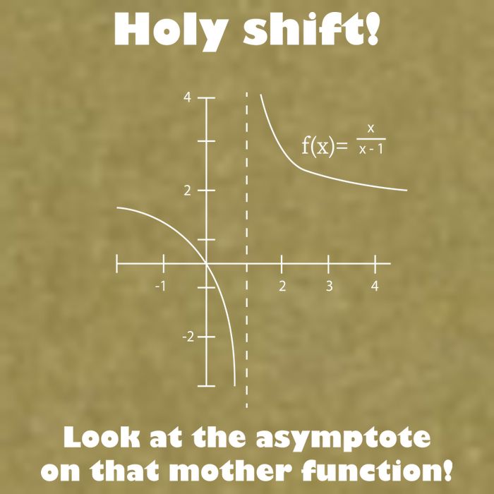 Holy Shift Look At The Asympotote On That Mother Function Garment-Dyed Women's Muscle Tee