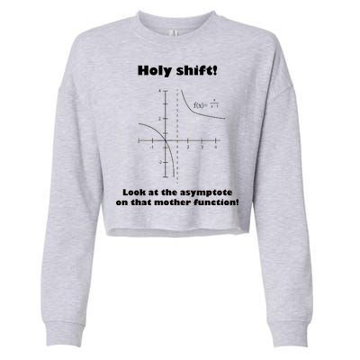 Holy Shift Look At The Asympotote On That Mother Function Cropped Pullover Crew