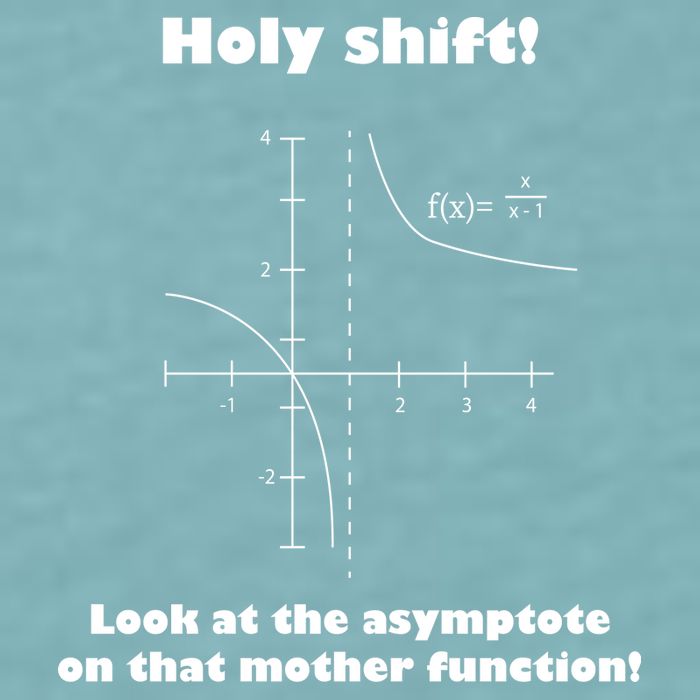 Holy Shift Look At The Asympotote On That Mother Function Sueded Cloud Jersey T-Shirt