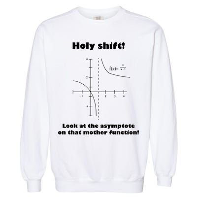 Holy Shift Look At The Asympotote On That Mother Function Garment-Dyed Sweatshirt