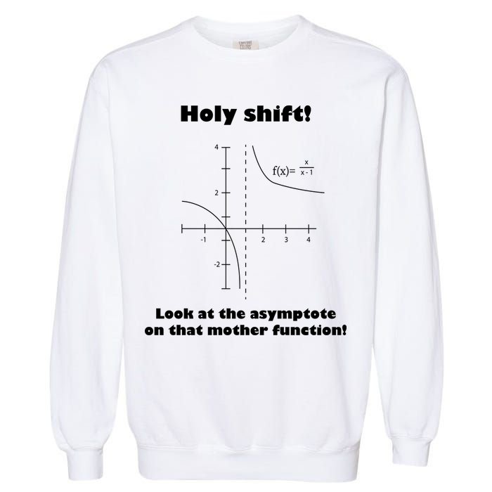 Holy Shift Look At The Asympotote On That Mother Function Garment-Dyed Sweatshirt