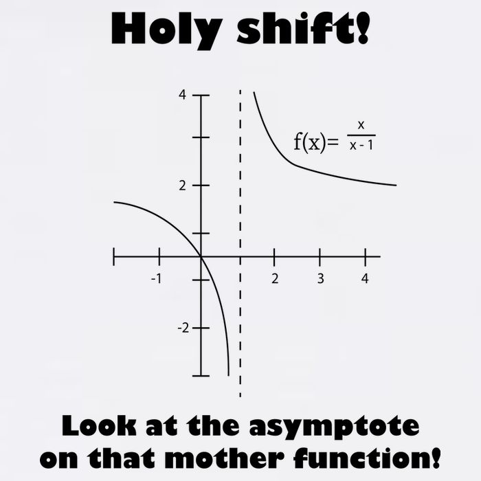 Holy Shift Look At The Asympotote On That Mother Function Garment-Dyed Sweatshirt