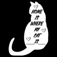 Home Is Where My Cat Is Funny Bucket Hat