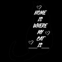 Home Is Where My Cat Is Funny Mug