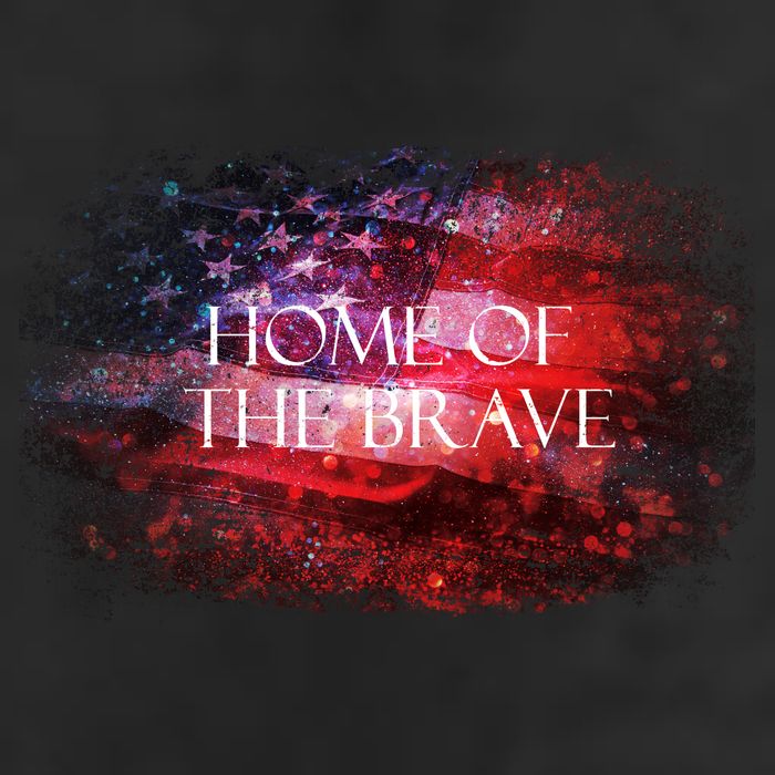 Home Of The Brave 7 Panel Mesh Trucker Snapback Hat