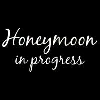 Honeymoon In Progress Cropped Pullover Crew