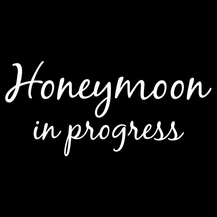 Honeymoon In Progress Cropped Pullover Crew