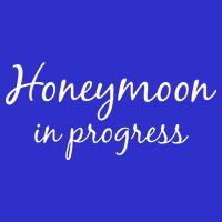 Honeymoon In Progress Toddler T-Shirt