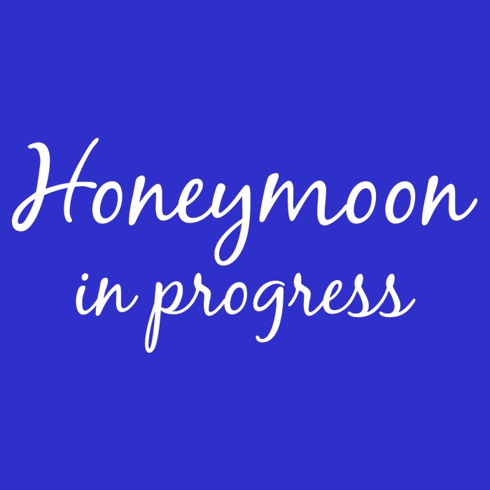 Honeymoon In Progress Toddler T-Shirt
