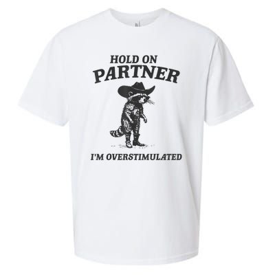 Hold On Partner IM Overstimulated Cowboy Raccoon Vintage Sueded Cloud Jersey T-Shirt