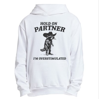 Hold On Partner IM Overstimulated Cowboy Raccoon Vintage Urban Pullover Hoodie