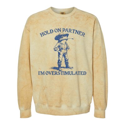 Hold On Partner IM Overstimulated Cowboy Frog Vintage Colorblast Crewneck Sweatshirt