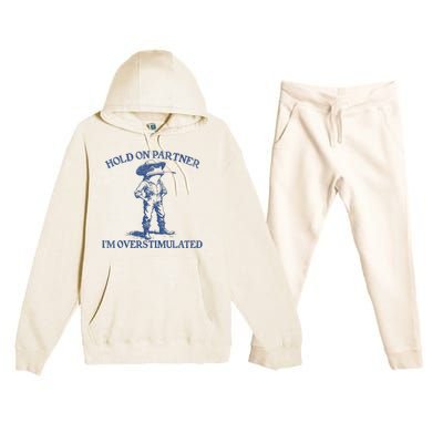 Hold On Partner IM Overstimulated Cowboy Frog Vintage Premium Hooded Sweatsuit Set