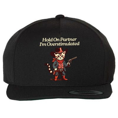 Hold On Partner Im Overstimulated Western Cat Cowboy Wool Snapback Cap