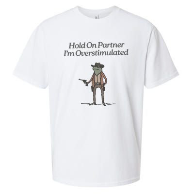 Hold On Partner IM Overstimulated Cowboy Frog Vintage Sueded Cloud Jersey T-Shirt